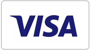 visa payment